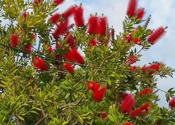 别墅 Omega Kefalonia 卡拉瓦杜斯